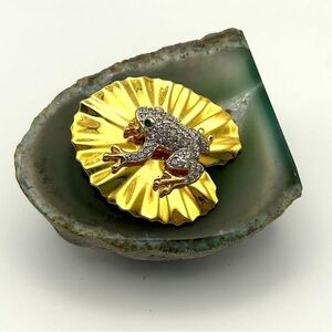 Frog on Lily pad Reptile Pin